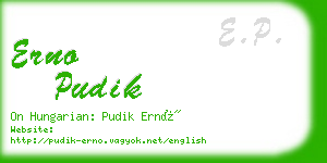 erno pudik business card